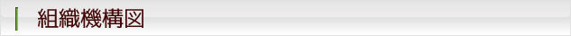 組織機構図