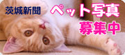 ペット写真募集中（茨城新聞）
